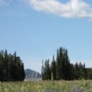 Meet your Posher, Kristin